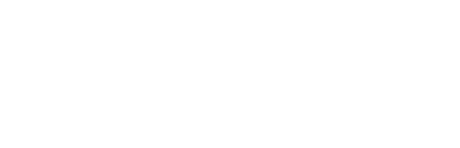 Screenshot logo